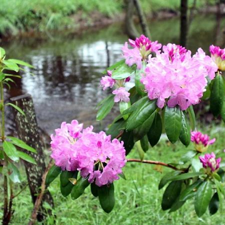 Weir Cottage Balledent 外观 照片
